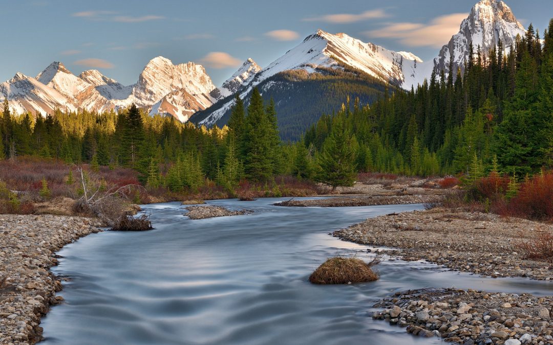 Springtime Mountain Light