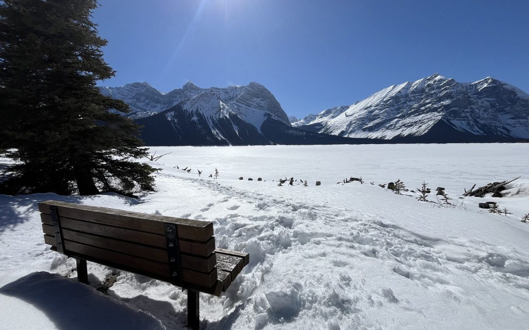 Springtime in the Mountains